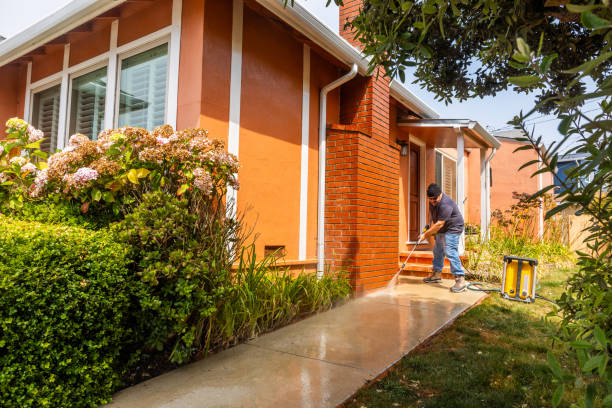 Best Pressure Washing Near Me  in Chalmette, LA